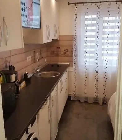 Garsoniera Cocheta Apartment